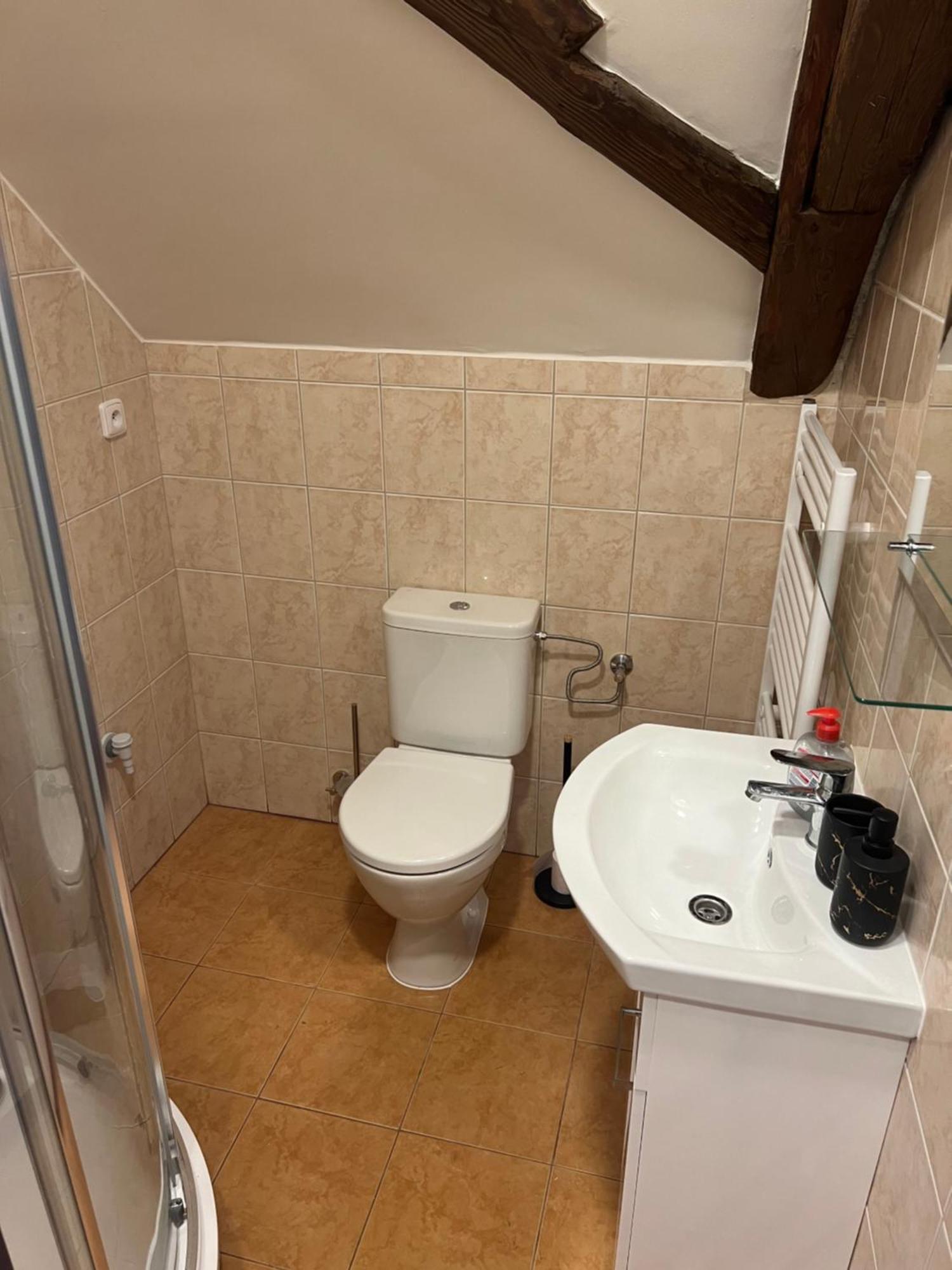 Ubytovani 1Kk Ve Zlonicich Slaný Kültér fotó